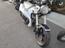 �z���_�_�b�N�X125�i���Q�����R�s�j�摜12