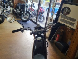 �z���_�G�C�v50 �^�C�vD�i���Q�����R�s�j�摜5