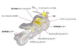 �X�Y�LKATANA�i���Q�����R�s�j�摜5