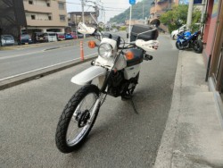 XYLTS185ERiQRsj摜6