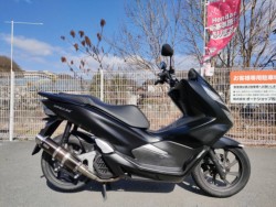 �z���_PCX�i���Q�����R�s�j�摜2