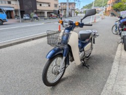 �z���_�X�[�p�[�J�u50�iAA09�j�i���Q�����R�s�j�摜6