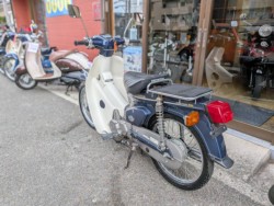 �z���_�X�[�p�[�J�u50�i���Q�����R�s�j�摜6