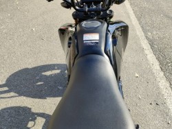 �z���_�O�����i���Q�����R�s�j�摜7