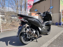 �z���_PCX�i���Q�����R�s�j�摜3