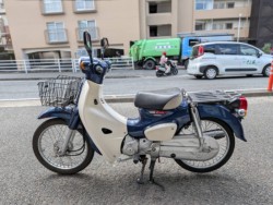 �z���_�X�[�p�[�J�u50�iAA09�j�i���Q�����R�s�j�摜7