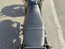 �z���_�O�����i���Q�����R�s�j�摜8