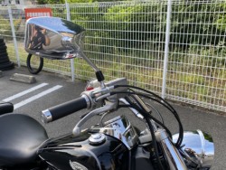 �z���_�V���h�E750�i���Q�����R�s�j�摜9