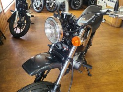 �z���_�G�C�v50 �^�C�vD�i���Q�����R�s�j�摜9
