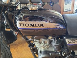�z���_�G�C�v50 �^�C�vD�i���Q�����R�s�j�摜10