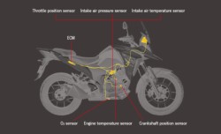 �X�Y�LV�X�g���[��250SX�i���Q�����R�s�j�摜10
