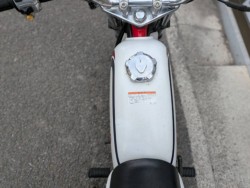 �z���_�G�C�v100�i���Q�����R�s�j�摜10