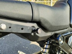 �z���_�O�����i���Q�����R�s�j�摜20