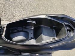 �z���_PCX�i���Q�����R�s�j�摜25