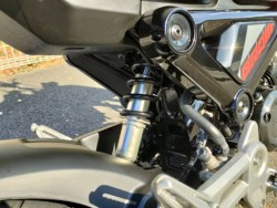 �z���_�O�����i���Q�����R�s�j�摜19