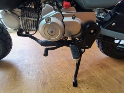 �z���_�����L�[125�i���Q�����R�s�j�摜12