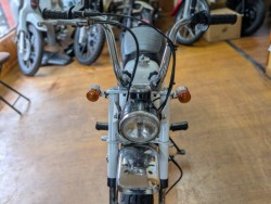 �z���_�����L�[�i���Q�����R�s�j�摜12