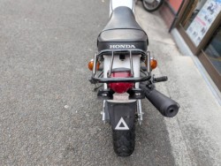 �z���_�G�C�v100�i���Q�����R�s�j�摜12