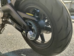 �z���_�O�����i���Q�����R�s�j�摜17