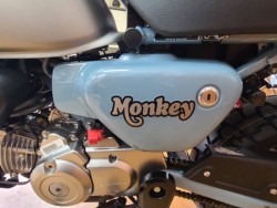 �z���_�����L�[125�i���Q�����R�s�j�摜14