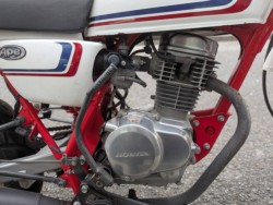 �z���_�G�C�v100�i���Q�����R�s�j�摜19