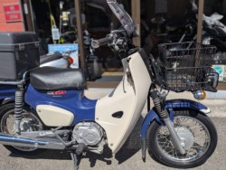�z���_�X�[�p�[�J�u110�v���i���Q�����R�s�j�摜15