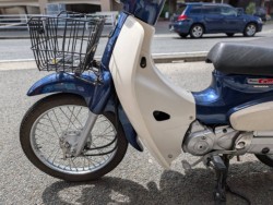 �z���_�X�[�p�[�J�u50�iAA09�j�i���Q�����R�s�j�摜16