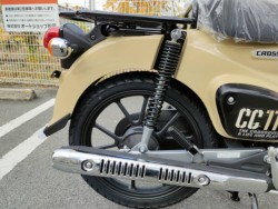 �z���_�N���X�J�u110�i���Q�����R�s�j�摜24