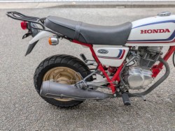 �z���_�G�C�v100�i���Q�����R�s�j�摜16