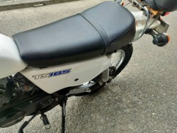 XYLTS185ERiQRsj摜21