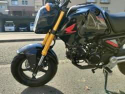 �z���_�O�����i���Q�����R�s�j�摜12