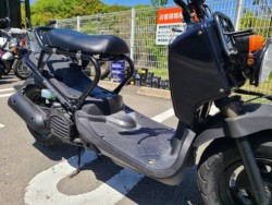 �z���_�Y�[�}�[�i���Q�����R�s�j�摜19