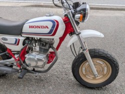 �z���_�G�C�v100�i���Q�����R�s�j�摜15