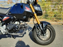 �z���_�O�����i���Q�����R�s�j�摜11