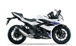 �X�Y�LGSX250R�i���Q�����R�s�j�摜2
