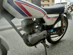 z_TL50iQRsj摜21