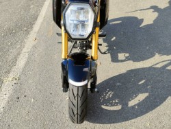 �z���_�O�����i���Q�����R�s�j�摜10