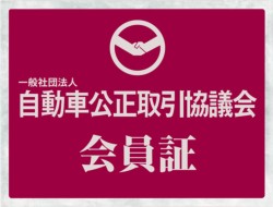 �z���_�X�[�p�[�J�u110�i���Q�����R�s�j�摜42