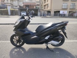 �z���_PCX�i���Q�����R�s�j�摜7