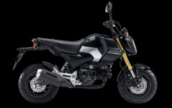 �z���_�O�����i���Q�����R�s�j�摜2