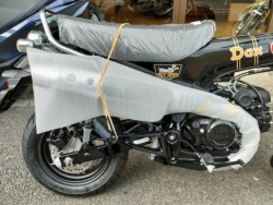 �z���_�_�b�N�X125�i���Q�����R�s�j�摜9