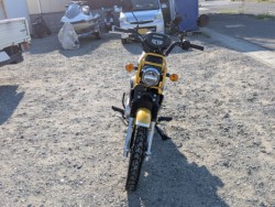 �z���_�N���X�J�u110�i��������s�j�摜2