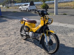�z���_�N���X�J�u110�i��������s�j�摜3