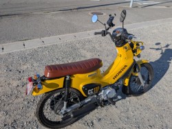 �z���_�N���X�J�u110�i��������s�j�摜10