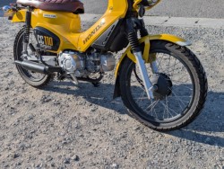 �z���_�N���X�J�u110�i��������s�j�摜12