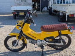 �z���_�N���X�J�u110�i��������s�j�摜26