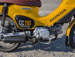 �z���_�N���X�J�u110�i��������s�j�摜28