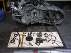 �z���_�W���C���L���m�s�[�i�����������s�j�摜16