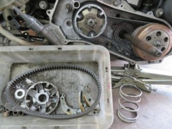 �z���_�W���C���L���m�s�[�i�����������s�j�摜17