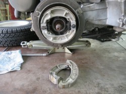 �z���_�W���C���L���m�s�[�i�����������s�j�摜18